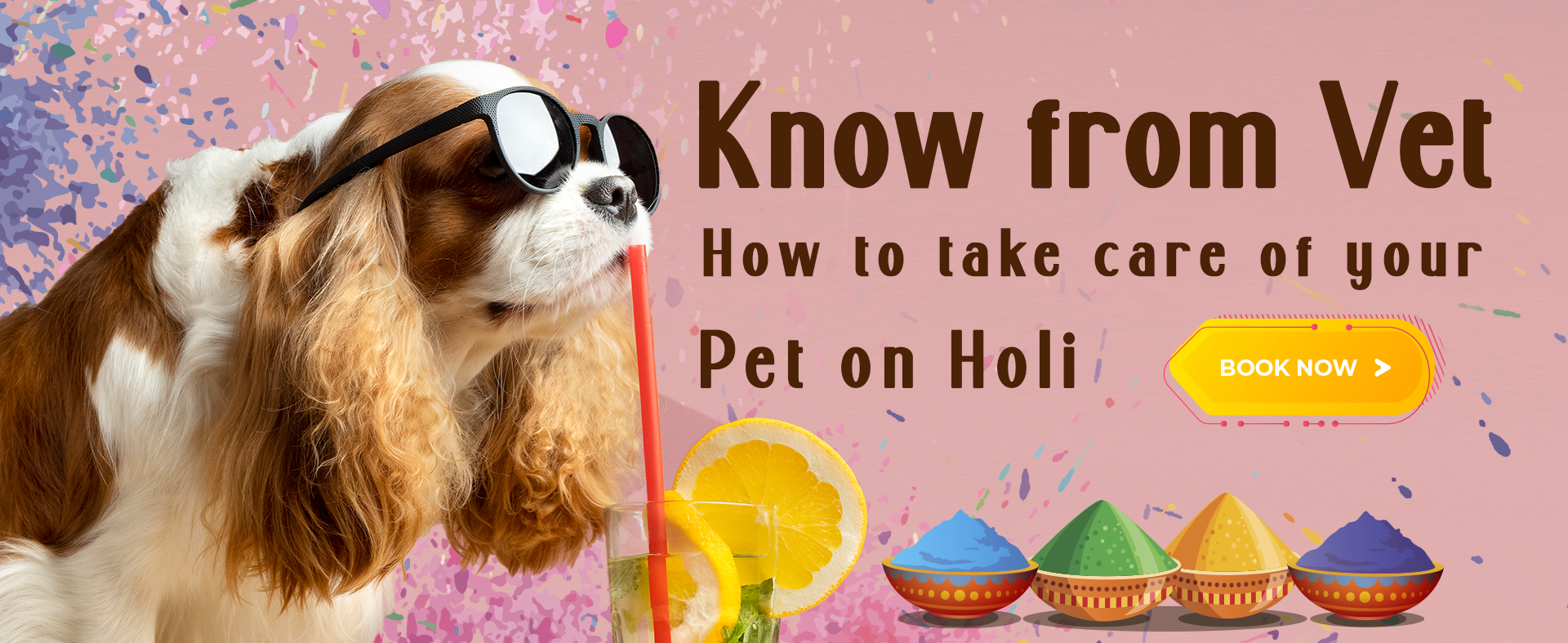 One-stop solution for all Pet Services in your City - Petofy One-stop solution for all Pet Services in your City - Petofy